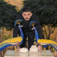 farhaddomo