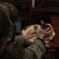 الصوت الأصلي