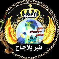 amaar08_911