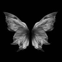 original sound - White