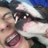 samuel_l08