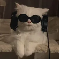 original sound - muzic.kr