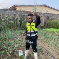 efarms3
