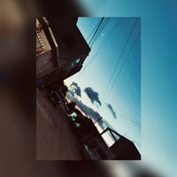 yannaslzx2