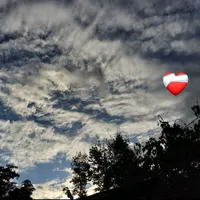 original sound - yolii840