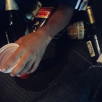mr_adonis.1