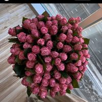 smaher5nn