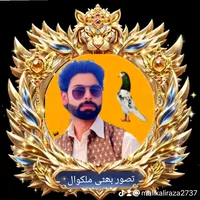 original sound - tasawar16234567