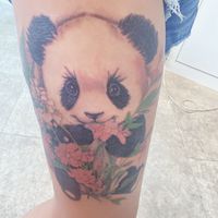 iove_0919