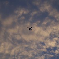 オリジナル楽曲 - 樹