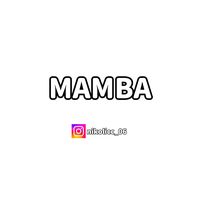 mamba_vs
