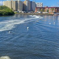 guadalupe_monterey1