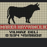 orijinal ses