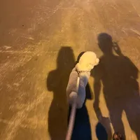 original sound - meobuong89