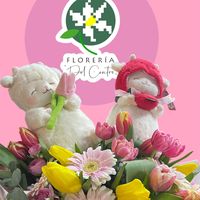 floreriadc