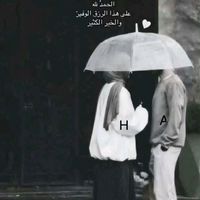 alialrfady