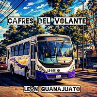 cafresdelvolanteleongto