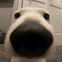 edu_boy231