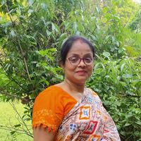 dabikapaul589