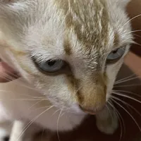 original sound - kimyutthapoom607