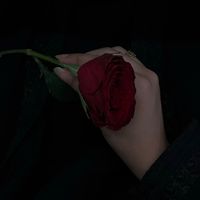 xxlli7