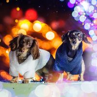 オリジナル楽曲 - tetsuko