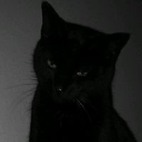 suara asli - APII