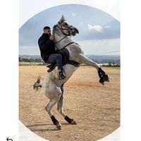 waleed.kh7