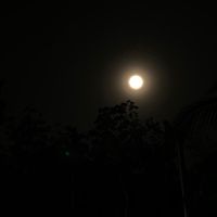 bunyi asal - ᴛᴜʀᴜ_友