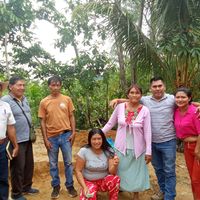 kiarita24n