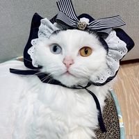 오리지널 사운드 - 꿈이💖