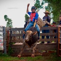 joaomiguel183