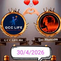 original sound - ZIDI CHEEMA 381