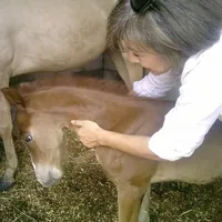 original sound - juls0666