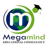 megamind_offical12
