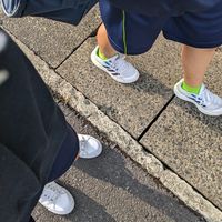 うんこ