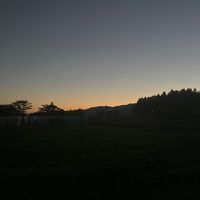 オリジナル楽曲 - 🌱