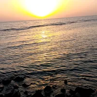 original sound - user3319135744477