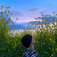 original sound - hudsonfilms_