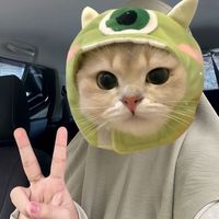 original sound - CHeメmURnII 🦩