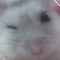 オリジナル楽曲 - みさき