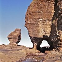 leyghtonmakal