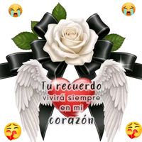 mariaeugenia5010