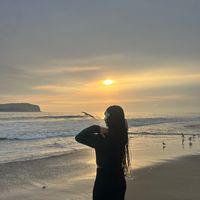 nosoimilaa