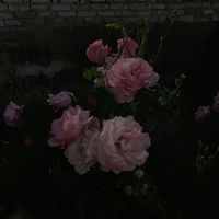 オリジナル楽曲 - 澪花