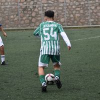 orijinal ses