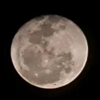 original sound - ulfa_4880