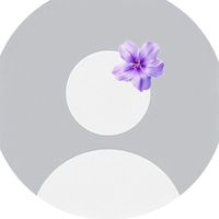 _privaate7