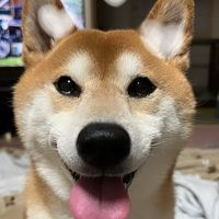 .yumi155