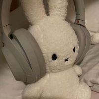 suara asli - divv👤